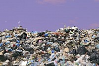 basura